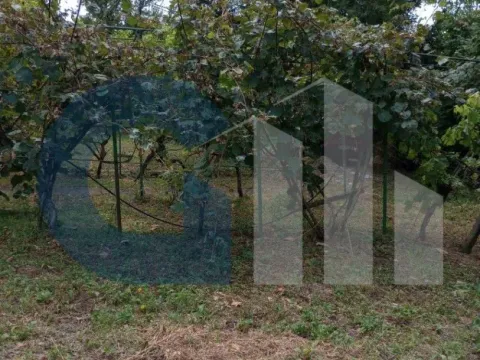 Sale, house, 70m², Mali Požarevac, Sopot - image 17