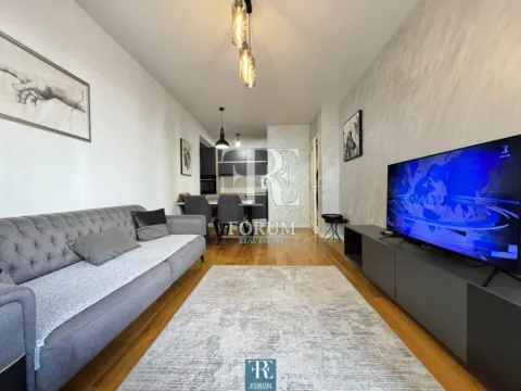 Izdavanje, jednosoban stan, 50m², Central Point, Podgorica - image 3