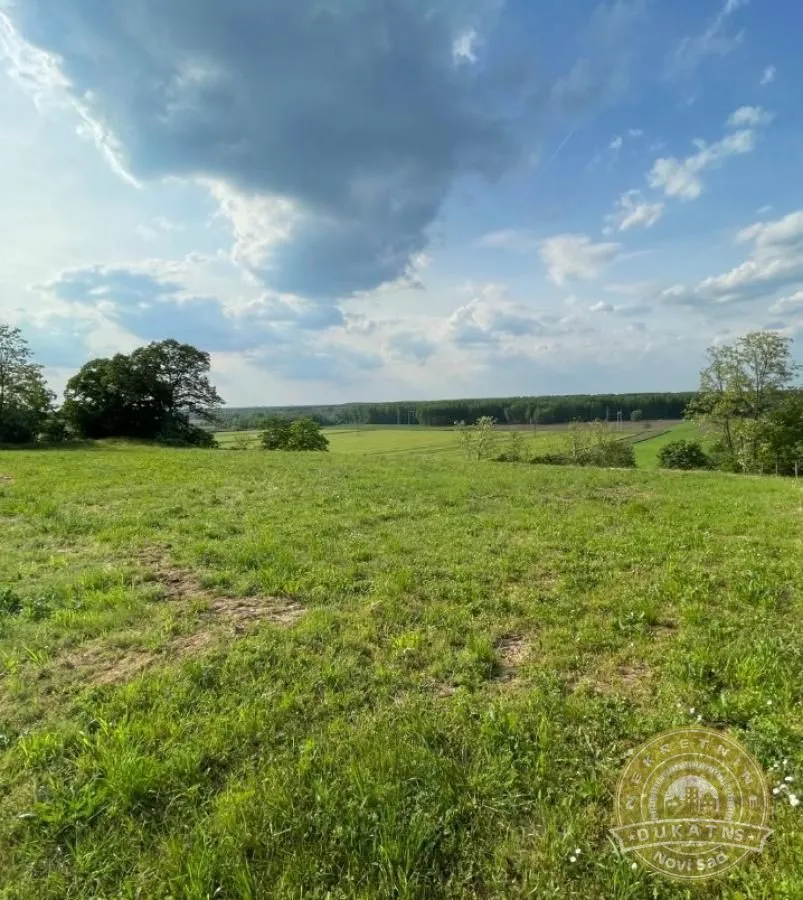 Prodaja, plac, 2400m², Rakovac, Novi Sad Sve Podlokacije