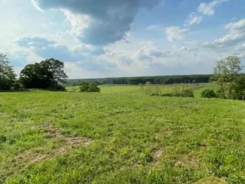 Prodaja, plac, 2400m², Rakovac, Novi Sad Sve Podlokacije - image 6