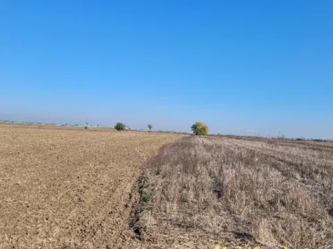 Prodaja, plac, 329m², Jakovo, Surčin - image 2