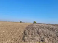 Prodaja, plac, 329m², Jakovo, Surčin - image 2