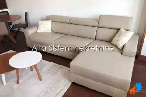 Izdavanje, dvosoban stan, 48m², Novi Beograd Blok 67, Novi Beograd Sve Podlokacije - image 3