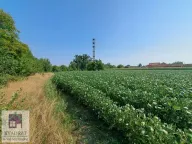 Prodaja, kuća, 150m², Obrenovac, Beograd - image 8