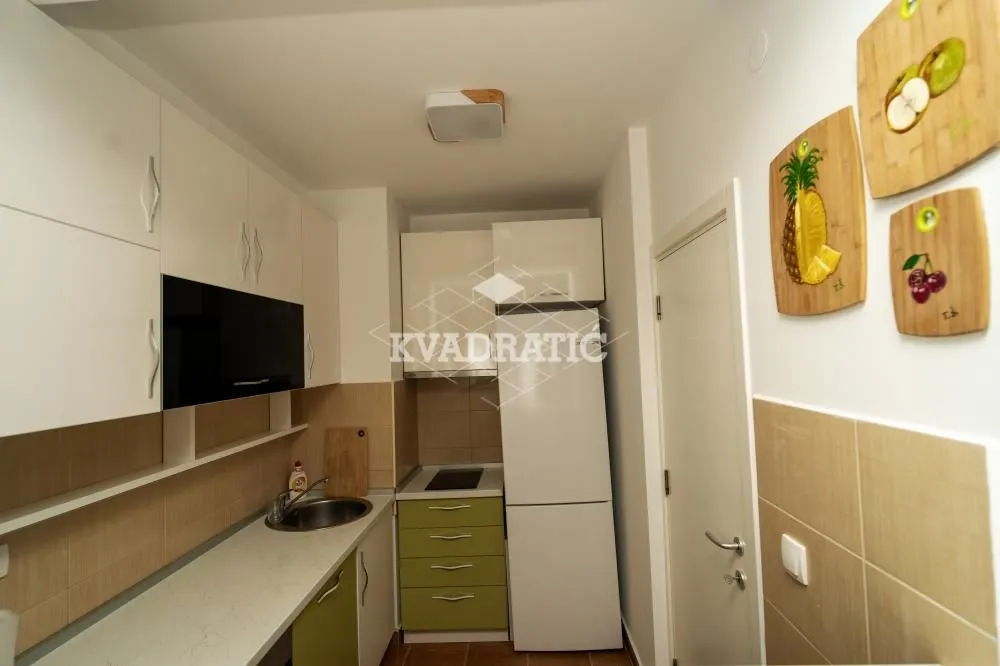 Izdavanje, dvosoban stan, 42m², Novi Beograd Blok 72, Novi Beograd Sve Podlokacije