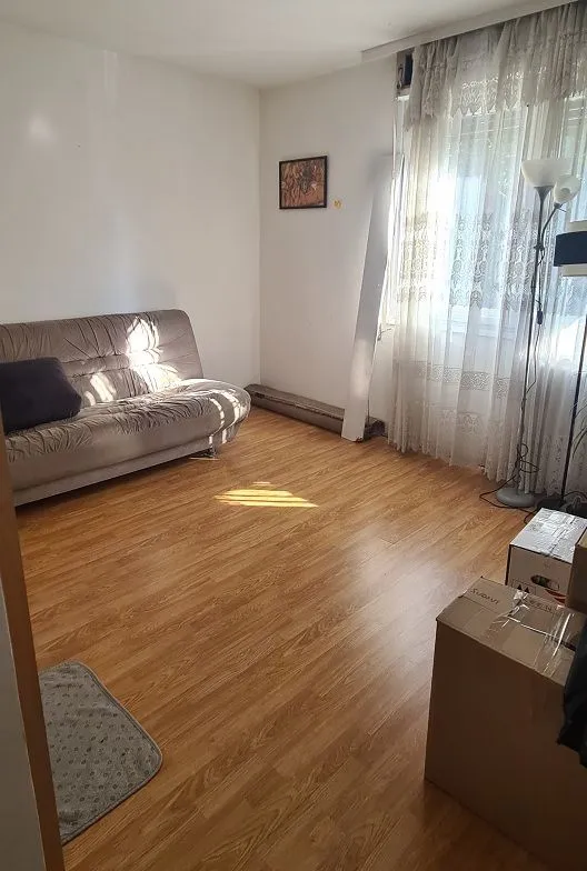 Dnevna soba sa kaučem i laminatom na podu.