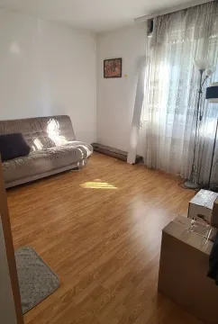 Dnevna soba sa kaučem i laminatom na podu. - image 7