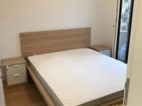 Izdavanje, dvosoban stan, 43m², Južni Bulevar, Vračar Sve Podlokacije - image 5