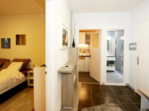 Rent, two bedroom apartment, 55m², Sarajevska, Beograd - image 13