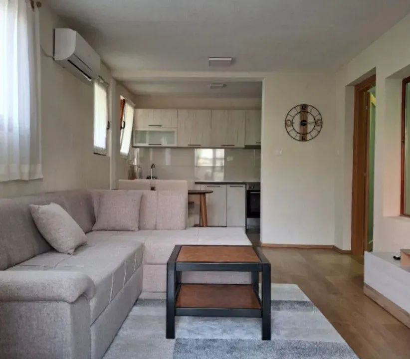 Rent, one bedroom apartment, 60m², Vranići, Podgorica