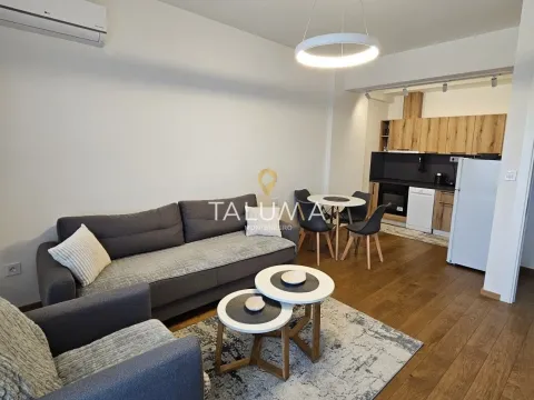 Izdavanje, jednosoban stan, 59m², Stara Varoš, Podgorica - image 2