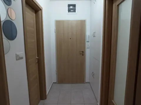 Prodaja, jednosoban stan, 45m², Stari Aerodrom, Podgorica - image 3