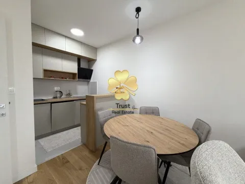 Rent, one bedroom apartment, 50m², Central Point, Podgorica - image 4