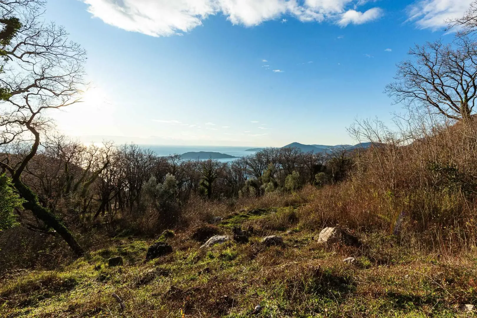 Pogled na more i okolno zelenilo sa parcele.