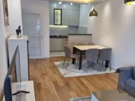 Izdavanje, jednosoban stan, 49m², Central Point, Podgorica - image 4