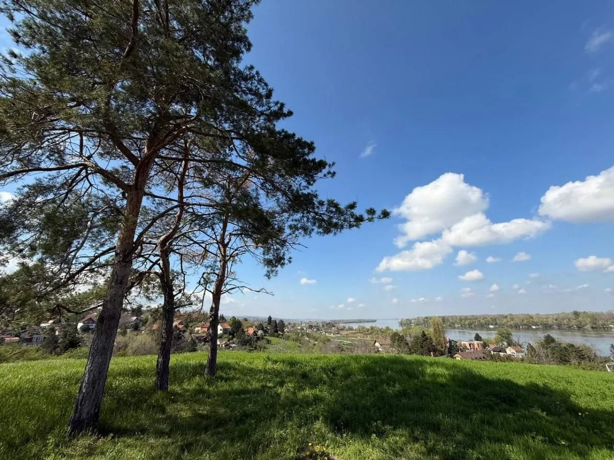 Prodaja, plac, 6157m², Petrovaradin, Novi Sad