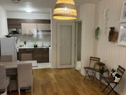 Izdavanje, jednosoban stan, 49m², Central Point, Podgorica - image 5