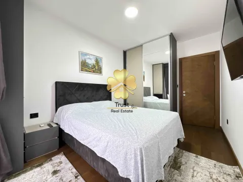 Izdavanje, jednosoban stan, 70m², Podgorica, Crna Gora - image 10