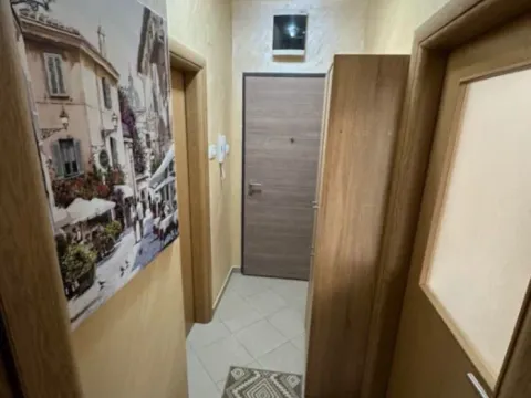 Izdavanje, jednosoban stan, 47m², Podgorica, Crna Gora - image 9