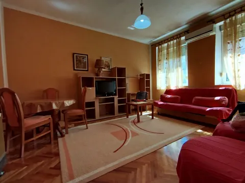 Izdavanje, jednosoban stan, 53m², Centar, Podgorica - image 2