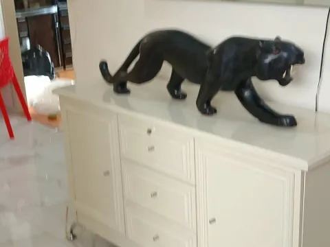 Izdavanje, dvosoban stan, 56m², Preko Morače, Podgorica - image 2