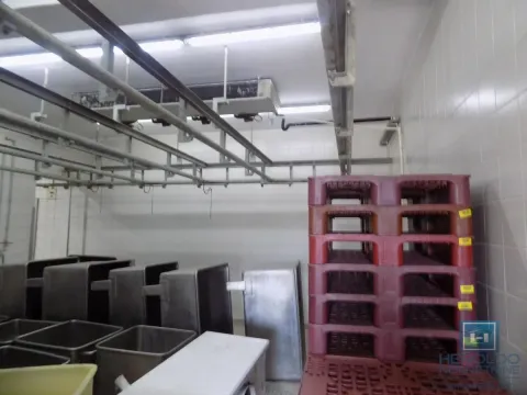 Izdavanje, poslovni prostor, 1500m², Donje Vidovo, Paraćin - image 10