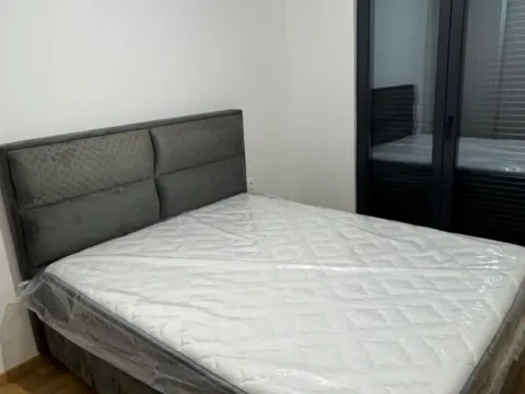 Izdavanje, jednosoban stan, 47m², Podgorica, Crna Gora - image 7