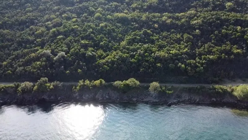 Prodaja, plac, 9900m², Zabrđe, Herceg Novi