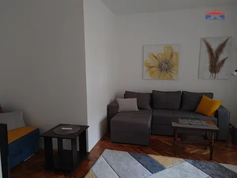 Izdavanje, dvosoban stan, 50m², Detelinara, Novi Sad Sve Podlokacije - image 5