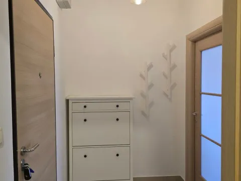 Izdavanje, jednosoban stan, 46m², Stari Aerodrom, Podgorica - image 4