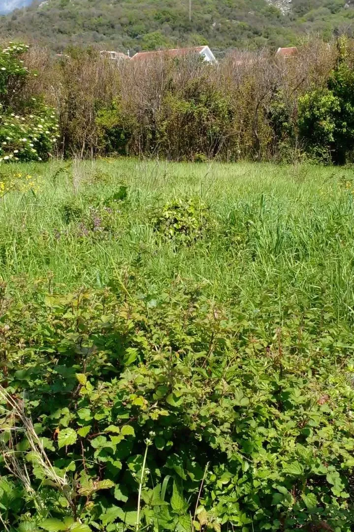 Sale, land lot, 1550m², Zaljevo, Bar