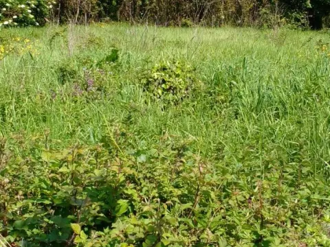 Prodaja, plac, 1550m², Zaljevo, Bar - image 4