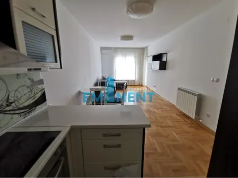 Rent, two bedroom apartment, 50m², Lion, Zvezdara Sve Podlokacije - image 4
