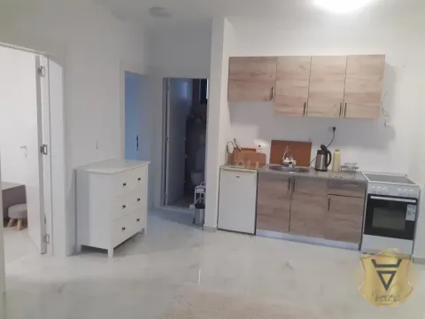 Izdavanje, dvosoban stan, 55m², Višnjica, Palilula Sve Podlokacije - image 6