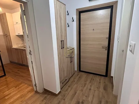 Rent, one bedroom apartment, 42m², Zabjelo, Podgorica - image 2
