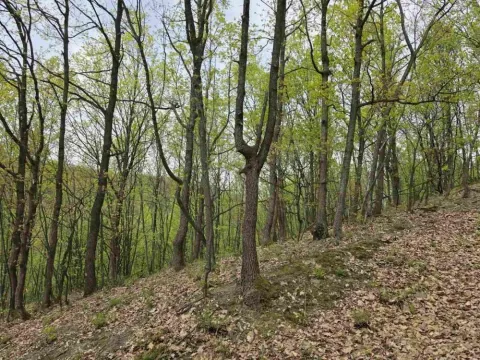 Zemljište in Bukovik