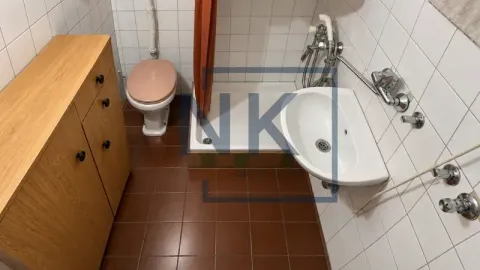 Small bathroom with a shower cabin, washbasin, toilet bowl, and a wooden cabinet. - image 12