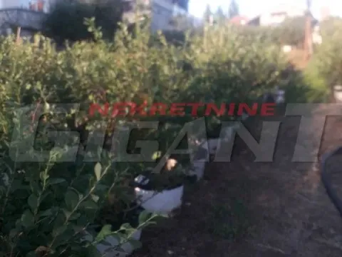 Prodaja, plac, 600m², Miljakovac, Rakovica - image 3