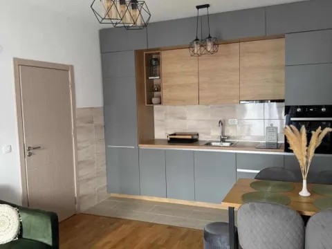 Izdavanje, jednosoban stan, 60m², Stari Aerodrom, Podgorica - image 7