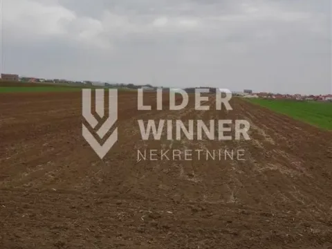 Prodaja, plac, 13600m², Surčin, Beograd - image 5