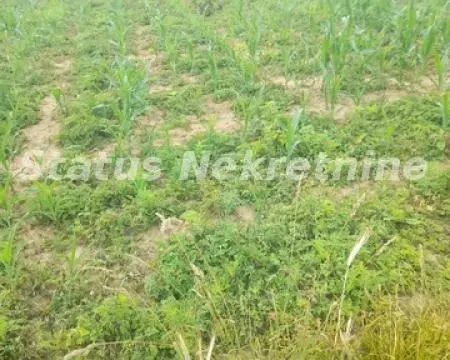 Sale, land lot, 900m², Beočin, Srbija - image 4