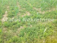 Prodaja, plac, 9m², Beočin, Srbija - image 4