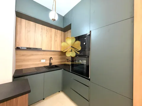 Izdavanje, jednosoban stan, 44m², Stari Aerodrom, Podgorica - image 7