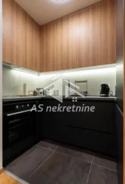 Izdavanje, dvosoban stan, 55m², Južni Bulevar, Vračar Sve Podlokacije - image 10