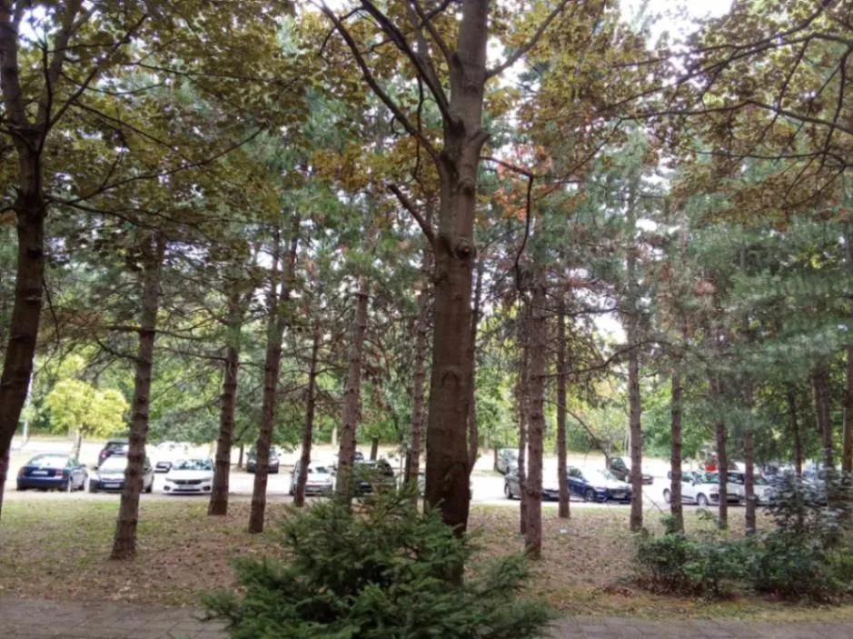 Prodaja, četvorosoban stan, 110m², Bezanijska Kosa 2, Bežanijska Kosa Sve Podlokacije