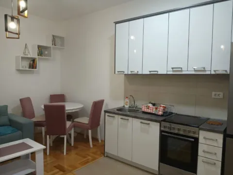 Izdavanje, jednosoban stan, 45m², Zagorič, Podgorica - image 4