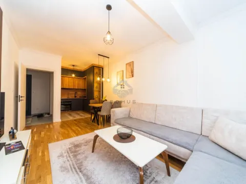 Izdavanje, jednosoban stan, 45m², Stari Aerodrom, Podgorica - image 3