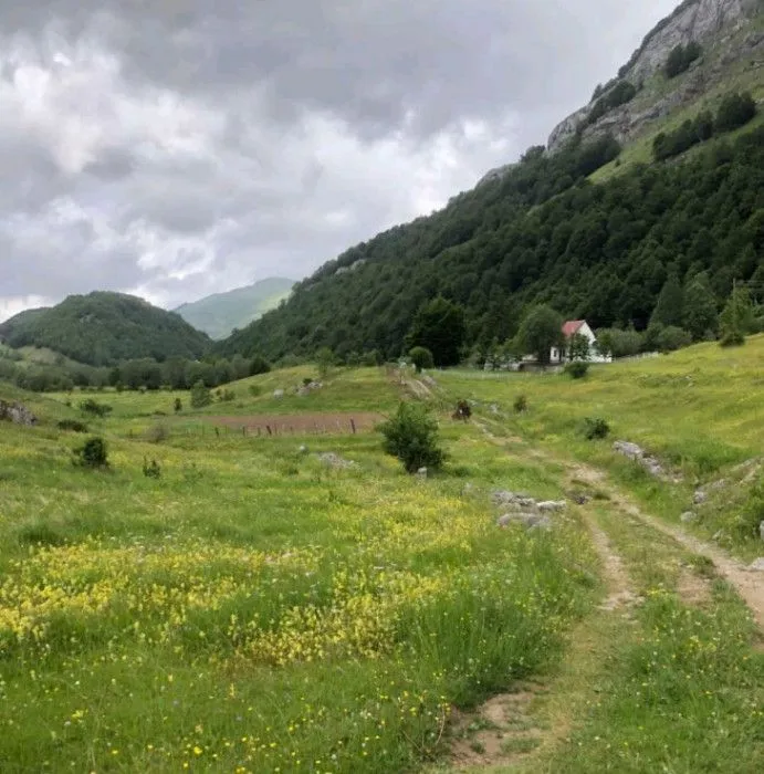 Prodaja, plac, 681m², Kuči, Podgorica