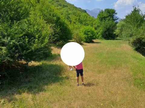 Prodaja, plac, 20000m², Donji Zagarač, Danilovgrad - image 2