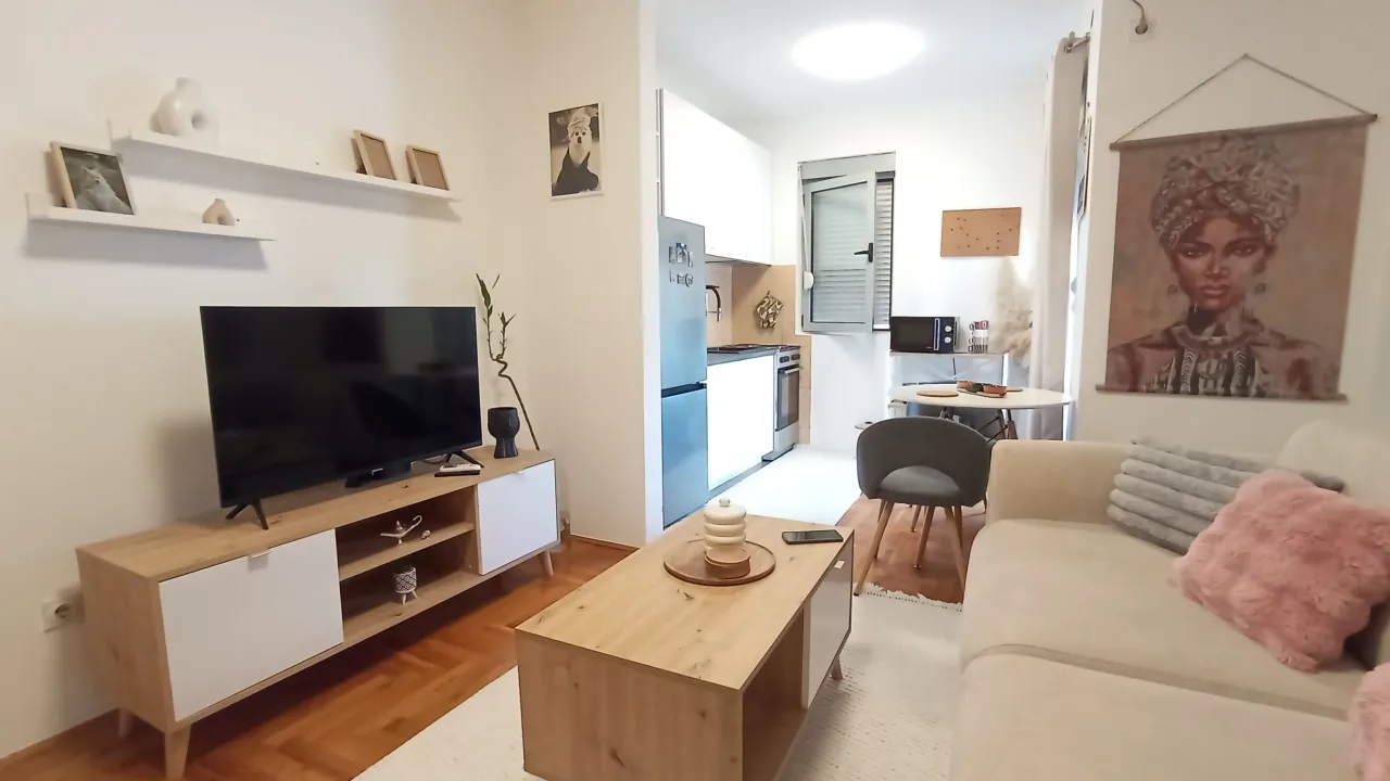 Rent, one bedroom apartment, 47m², Preko Morače, Podgorica